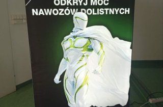 Fotogaleria - zdjęcie nr 8
