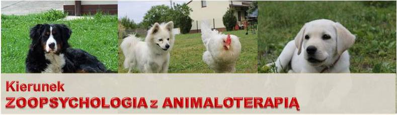 zdjecie 6 baner zoopsych z animaloter